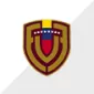 COPA AMÉRICA 2024 TEAM - gojersey