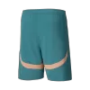 Manchester City Fourth Away Soccer Shorts - UCL - gojersey