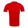 Spain Home Soccer Jersey Retro 2010 - gojersey