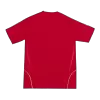 Spain Home Soccer Jersey Retro 2008 - gojersey
