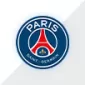 CHAMPIONS LEAGUE POPULAR CLUBS - gojersey