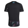 Argentina Goalkeeper Soccer Jersey World Cup 2026 Black - gojersey